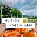 고향의봄 | 화성 베이커리카페 추천! 고향의봄 내돈내산 후기｜빵맛집 인정🥐☕