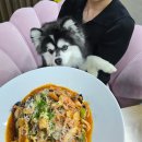 (주)시네마리퍼블릭 | [서울근교] 양평 펫리퍼블릭 내돈내산 후기: 강아지 입장료 무료, 전구역 오프리쉬, 5월 수영장 개장 정보