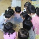 두리숲어린이집 이미지