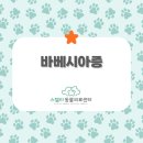 스텔라동물의료센터 이미지