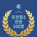 영어 에세이 몇번이나 쓰나요? 이미지