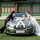 신라카써비스 이미지