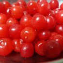 저두농장 이미지