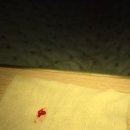 래플즈동물병원 이미지