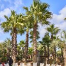 남원환승정류장 이미지