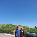 소삼도 Daum카페