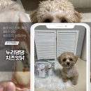 누리댕댕 | 강아지간식추천 | 닭 위의 치즈, 누리댕댕 치즈잇닭 후기
