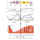 엘르산부인과의원 이미지