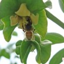 왕림농장 이미지