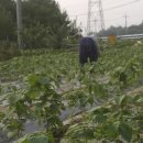 성림농장2 이미지