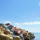 동화 속 바다여행 이미지