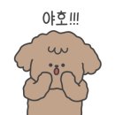 마이독 프리미엄 펫 스튜디오 이미지