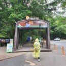 구천동 어사길 이미지