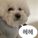 새로핏PT | 신영통 헬스장 유온핏 1:1 PT 후기 모음