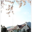 빙그레여인숙 이미지