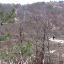 석등슬치로 이미지