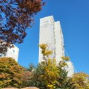 양지-2732 | 1기 신도시 재건축 선도지구 발표 분당 일산 평촌 중동 산본