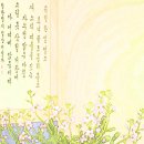 메리꽃방