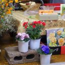 수채화교실 이미지