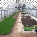 우성농장2농장 이미지