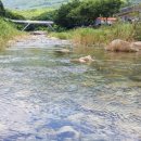 버들치민박 이미지