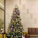 오라카이 청계산호텔, 레벨B1 이미지