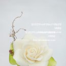 가드니아일산