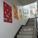 용인대 아리랑 태권도장 | 풍무동 태권도 1년 보낸 솔직 후기 (풍무 자이 서해 아파트 근처 한마음 키즈짐 초등학생 운동)