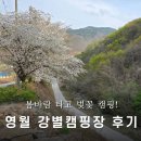 [강원도 캠핑장] 봄내음 가득한 영월 강별캠핑장 후기