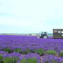 이스트팜 이미지