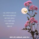 * 기도와 중보기도를 위한 추천 도서 - 조태성 이미지