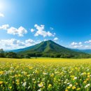 얼레지펜션 | [100대 명산] 방태산 등산코스와 명소