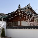 배동스테이 이미지