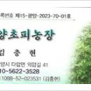 김충현농장 네이버블로그