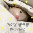 제빵인의집 이미지