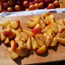 낙원농장 이미지