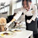 펫푸드24