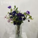 몽보자르뎅