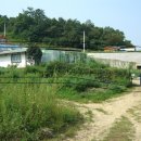 강화바다 이미지