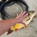 덕우낚시터 이미지