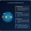 황반변성으로 실명될 수 있다고요? AREDS2 포뮬라로 위험 25% 줄이는 방법