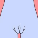 강남에스터산부인과의원 이미지