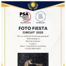 FOTO FIESTA CIRCUIT 2025 국제사진공모전 입선 이미지