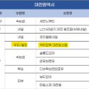 닥터모락 대전둔산점