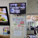 가마골국밥