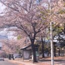 자산반점 이미지