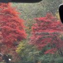 정령치로 | 지리산 정령치 능선 산행