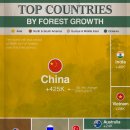 2001년 이후 산림 성장별 상위 국가 이미지