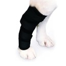 펫츠런 애견 이미지