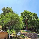 국우경로당 이미지